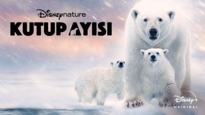 Polar Bear (Kutup Ayısı)